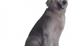 Teirlist of current Starbase ship model submissions